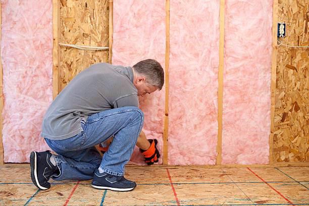 Best Eco-Friendly Insulation Solutions  in Willoughby, OH